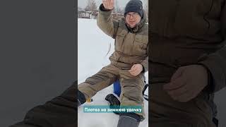 Плотва на удочку зимнюю #рыбалка #shorts #fishing #зима