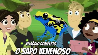 kratts series - o poder do sapo venenoso - português - episódio completo- HD -aventura com os kratts