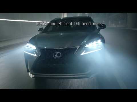 2017 Lexus NX