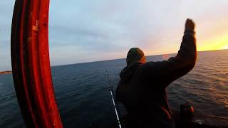 smelt Oside fishing screenshot 5