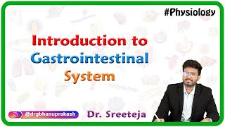 Introduction to Physiology of Gastrointestinal System : USMLE Step 1
