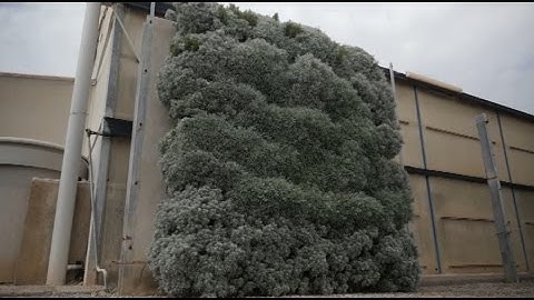AS Motorways with vertical gardens to reduce noise levels and traffic pollution