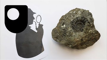 How to identify the different types of rocks