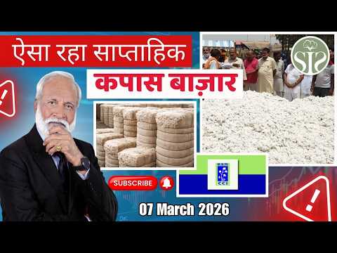 कपास बाज़ार की साप्ताहिक अपडेट 😱 || Weekly Cotton Market Review #kapas #cotton