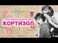 Как кортизол влияет на жизнь, дисциплину и формирование мыслей