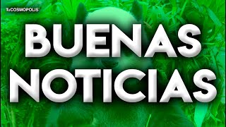 Buenas Noticias El Panda Gigante Deja De Estar En Peligro De Extinción