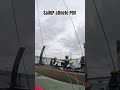 Auckland action 💦 #sailgp #racing #sailing