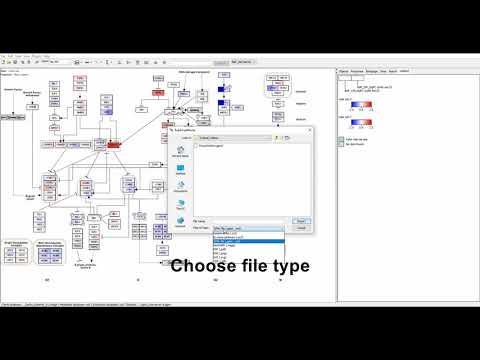 Export pathway visualization from PathVisio