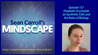 Mindscape 157 | Elizabeth Strychalski on Synthetic Cells and the Rules of Biology