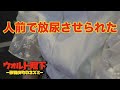 【歌舞伎町調査file.18】歌舞伎町の風◯嬢大体なんでもしてくれる