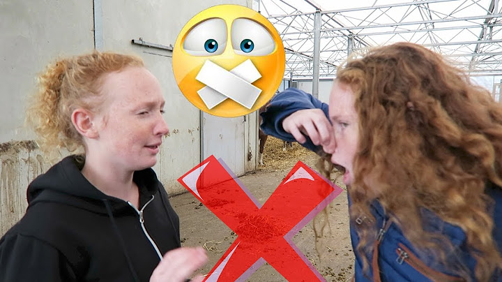 ZEG DIT NOOIT TEGEN EEN PAARDENMEISJE !!  | paardrijden met plezier
