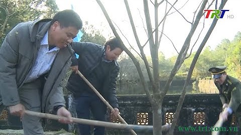 Phát động “Tết trồng cây đời đời nhớ ơn Bác Hồ” Xuân Quý Mão