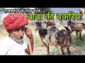 पप्पू बनाकर ऐसे ठगते है किसानो को | 10 हजार में दो नग बकरी |  best quality goat | pkraj vlogs