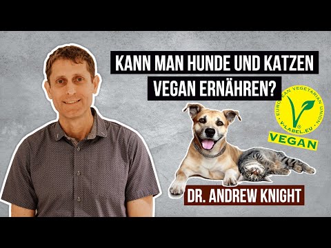 Video: Umstrittene Kombination: Kann Ein Haustier Vegan Sein?
