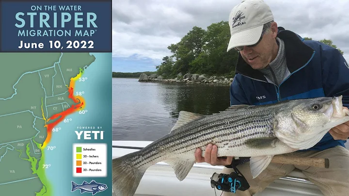 Rhode Island Surf & Fly Stripers with Peter Jenkin...