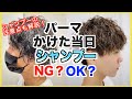 【疑問】パーマかけた当日シャンプーしてもいいの?ダメなの?長年の議論に終止符を打ちます!