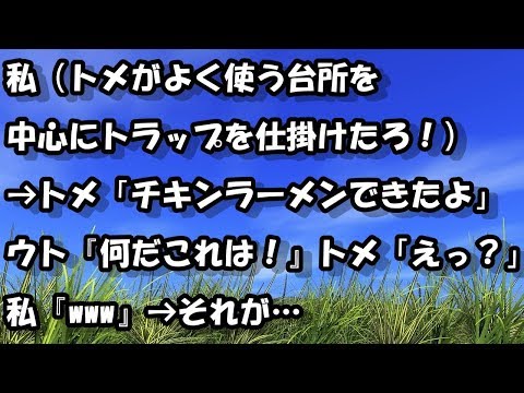 私（トメがよく使う台所を中心にトラップを仕掛けたろ！） → トメ「チキンラーメンできたよ」ウト『何だこれは！』トメ「えっ？」私『www』 → それが…