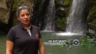 ¿Qué hay en la troncal?