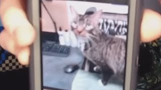 The Burnells visit the vet