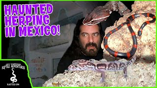 FINDING MEXICO'S LEOPARD GECKO IN A HAUNTED HOTEL!
