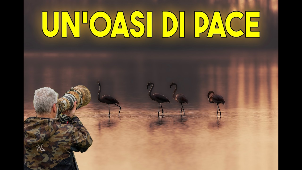 Fotografia Naturalistica | Alviano: Un'Oasi di Pace