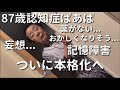 【代表入り】87歳認知症ばあばと33歳こどおじ(孫)二人暮らし【ラグドール】【ハゴロモセキセイインコ】
