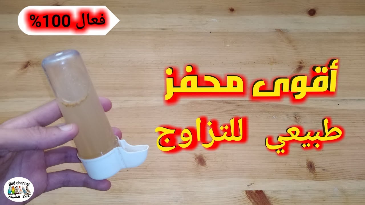 أقوى محفز للتزاوج لجميع أنواع الطيور طبيعي وفعال 100 %