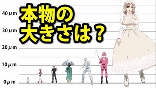 はたらく細胞 キャラクターを実際の大きさで比較してみた！