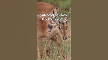 Starting 2025 the Right Way! ✨  #goeco #volunteertravel