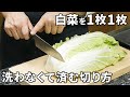 白菜の切り方と洗い方の極意!この3分間でアナタの人生変わります!