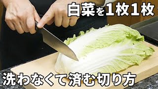白菜の切り方と洗い方のポイント 鍋やすき焼きの美味しさ格段アップ 野菜の下ごしらえ Youtube 白菜の切り方と洗い方のポイント 鍋やすき焼きの美味しさ格段アップ 野菜の下ごしらえ Youtube