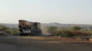 LTM 1225 225ton carne