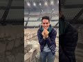 Oh mamma Mia!!