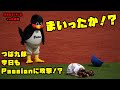 つば九郎　今日もPassionに攻撃をしかける　2023/4/2 vs広島