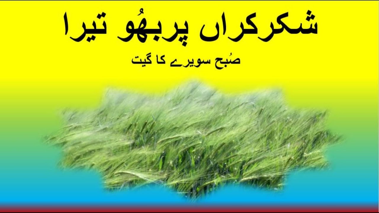 Morning Special Geet Shukar Karan Prabhu Tera|#jesus #punjabigeet #special|#masihigeet #morningsongs