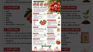Description of Lichi Cultivation #agriculture#notes