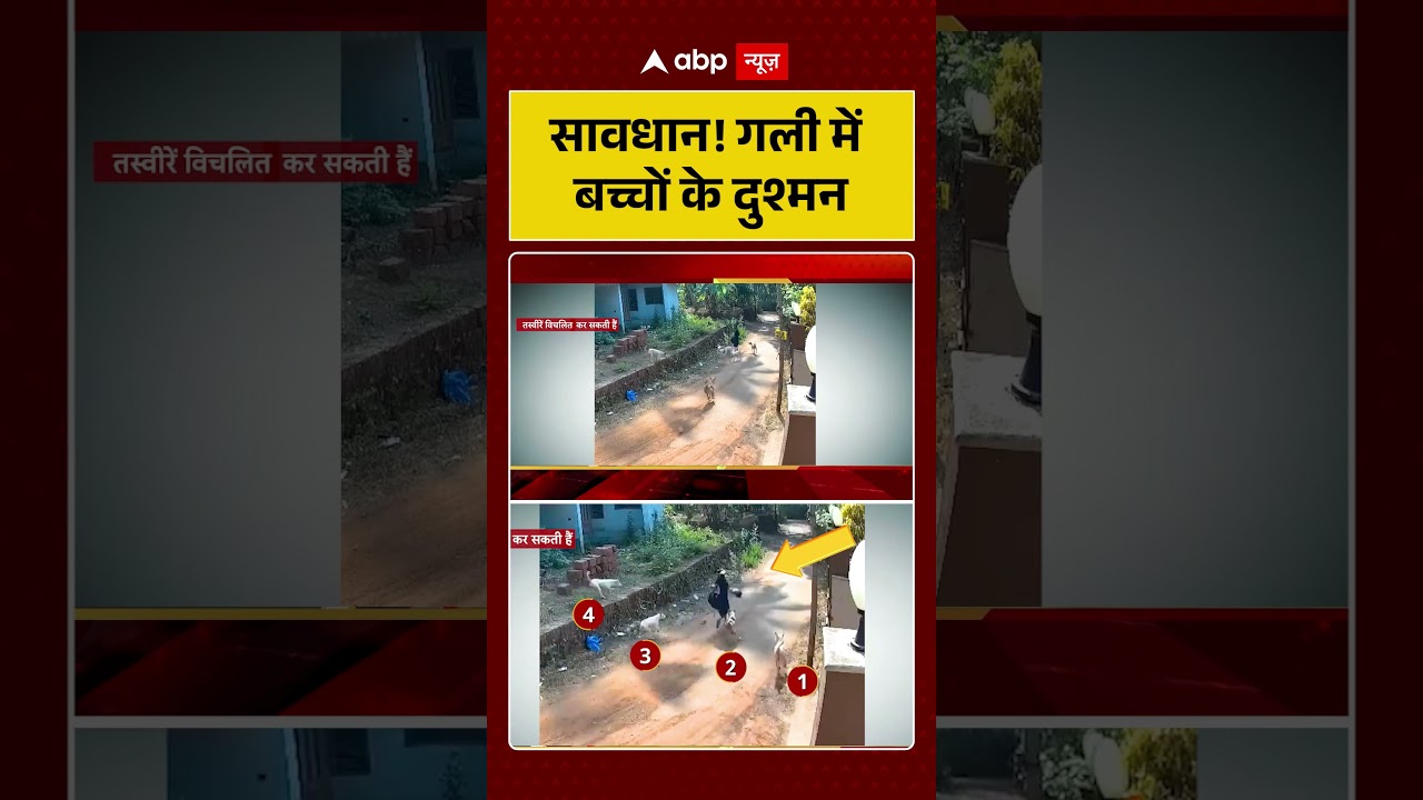 Viral News: सावधान! गली में बच्चों के दुश्मन | #shorts #viralvideo #dogbitecases