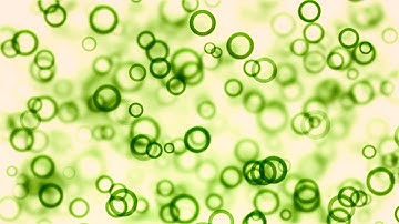 Circular Particles Moving | No Copyright Motion Graphics