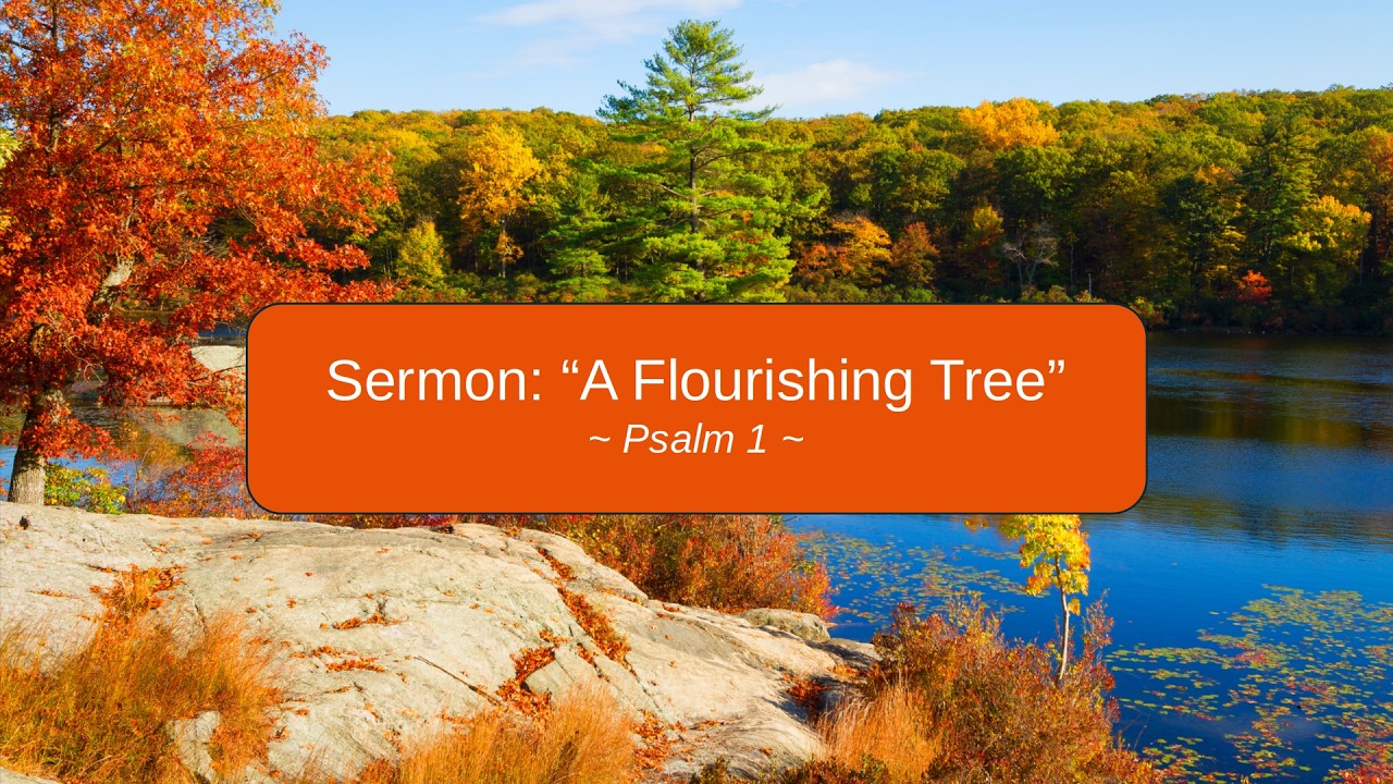 2026-10-25 “A Flourishing Tree” (Psalm 1) By Pastor Seth Brickley - YouTube