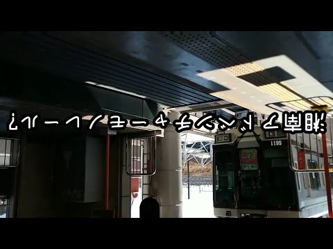 湘南モノレールで江ノ島をめぐってみた(後編)を逆再生してみた　#江ノ島　#逆再生　#逆再生動画