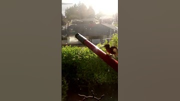 Hummingbird rescue