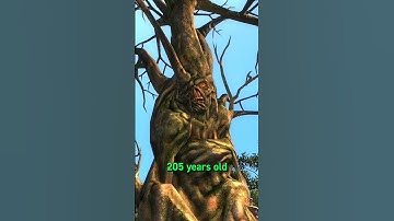 Fallout’s Unwilling God