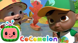 row row song with cody jj singalong with cody cocomelon kids songs