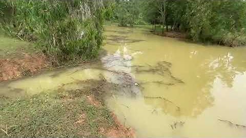 Chỉ Cho Anh Em Điểm Câu Rê Cá lóc Tự Nhiên Ở TP. Thủ Đức - Sài Gòn