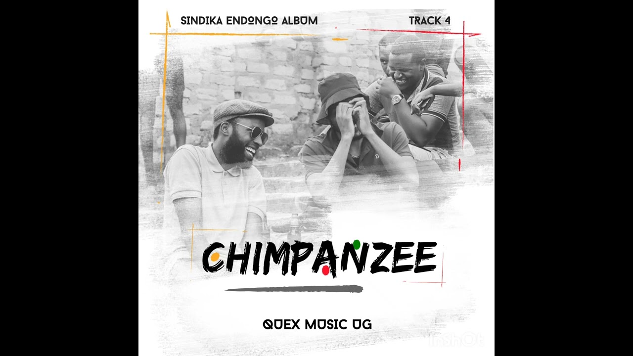Chimpanzee by Quex [ Official Audio 2023 ]