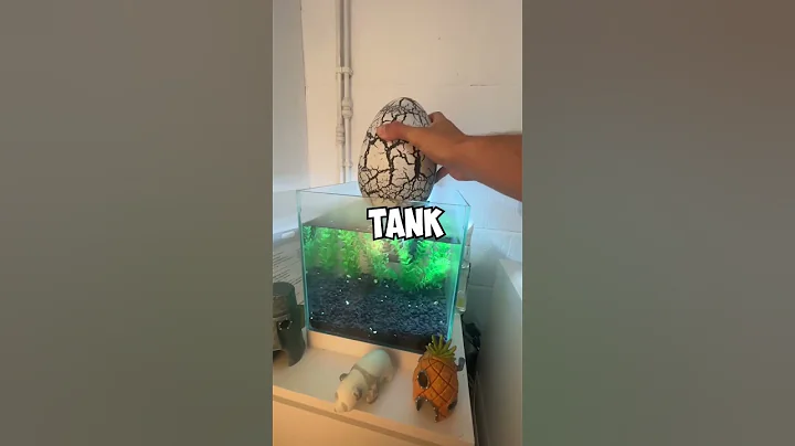 GIANT Dinosaur Egg *HATCHING* - DayDayNews