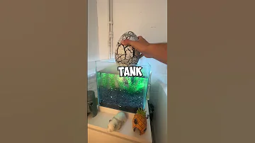 GIANT Dinosaur Egg HATCHING 