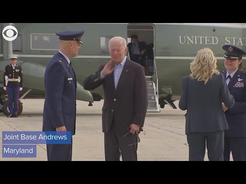 President Biden swats a cicada away