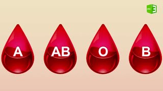 أنواع فصائل الدم في جسم الإنسان