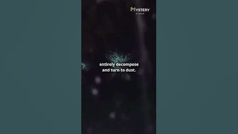 Apple in a box theory